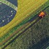 Profilbild von MATOPIBA AGRO 🌾🇧🇷