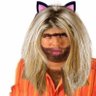 Mehmet's profile picture