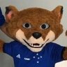 Raposão da Depre | Fan account's profile picture