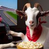 Фото профиля NextGen NASCAR Fan