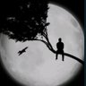 Kevin's profile picture