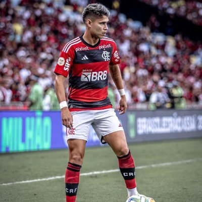 Luiz Araújo 's profile picture