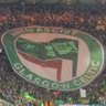 The Keady witch 🇵🇸🍀 profil fotoğrafı