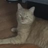 Profilbild von Rick