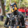 Фото профиля Torx