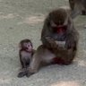Фото профиля グレた