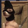 lee's profile picture