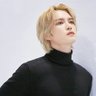 Lionstar ็ๅคดๅ