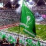 سعد الحربي's profile picture