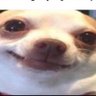 Mateusz's profile picture