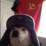 Красный Пролетарий's profile picture