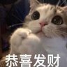 积极的互动 的头像