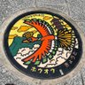 空の旅人 profil fotoğrafı