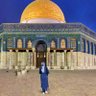 Nazlı's profile picture