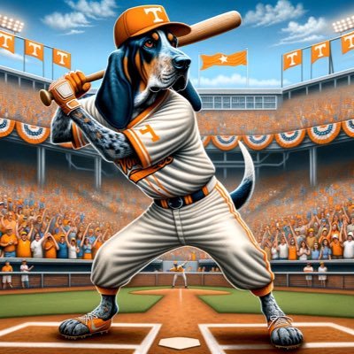 Sam's profile picture