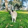 Jose Vera Mazgo profil fotoğrafı