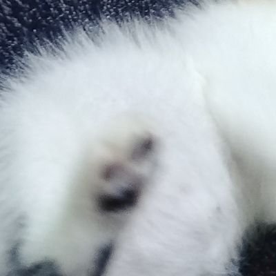 이프😵💫's profile picture