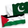🇵🇰 راج پوت🇵🇰🇵🇸 profil fotoğrafı