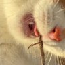 sotohaame's profile picture