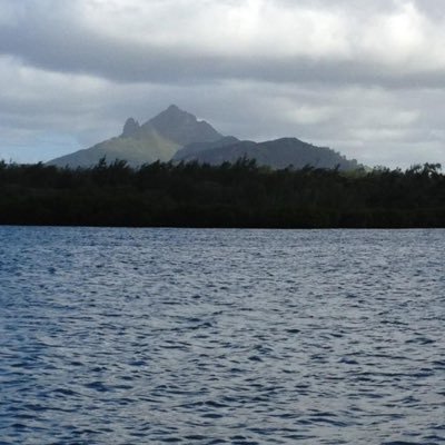 ldfmra's profile picture