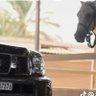 Abdulla Alkawwari 🇦🇪 XRP 的头像