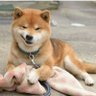 Boner profil fotoğrafı