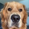 Profilbild von Lepage_77