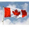 Canadian Veteran profil fotoğrafı