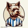 HuddersfieldTown1908 profil fotoğrafı