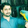 Profilbild von Rashid Ali (792)