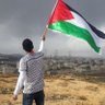 مي المحمد's profile picture