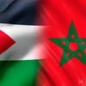 Lotfi Khamlichi's profile picture
