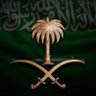 Profilbild von عبدالعزيز القحطاني🇸🇦