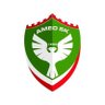 AliArm's profile picture
