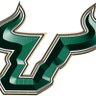 USFbullinDFW ็ๅคดๅ