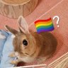 bunnycoded girl 的头像
