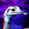 Depex's profile picture