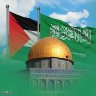 Фото профиля عمرو نبيل عبد السلام