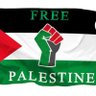 Profilbild von 🇵🇸Noor Ahmed🇵🇸