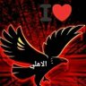 Фото профиля Mohamed Dieb
