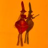 Ximena Borquez's profile picture