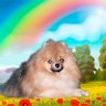 titoramo1w阪神愛のタイトラモ's profile picture