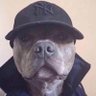 Profilbild von B