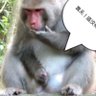 強強's profile picture