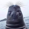 Ns51 profil fotoğrafı
