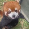 氷川光秀 profil fotoğrafı