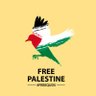 Muhammad Talha's profile picture