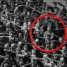 Markus Herrmann profil fotoğrafı