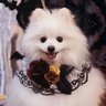 ことり♡'s profile picture