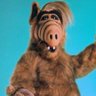 Profilbild von Chemtrail Pilot
